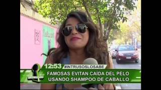 Los efectos del shampoo de caballo para los humanos [upl. by Nyrat818]