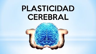 Cómo puede CAMBIAR tu cerebro  PLASTICIDAD CEREBRAL o neuroplasticidad [upl. by Quintana]