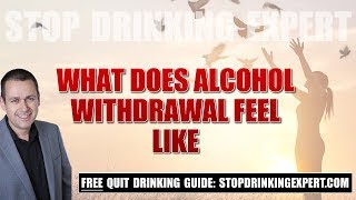 What does alcohol withdrawal feel like [upl. by Esyahc]