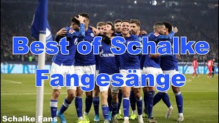 Best of Schalke Fangesänge  Schalke Fans [upl. by Brant823]