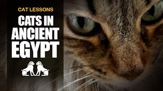 10 Facts About Cats in Ancient Egypt [upl. by Osrock]