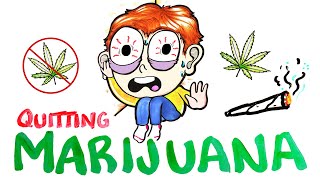 What Happens When You Quit Marijuana [upl. by Amann]