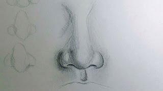 How to Draw a Nose [upl. by Inail]