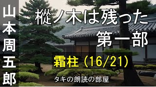 【朗読】樅ノ木は残った 第一部 『16話：霜柱（1621）』 山本周五郎の人気小説。青空文庫の無料朗読で、作業用BGMや睡眠導入としても♪ [upl. by Nnylrac]