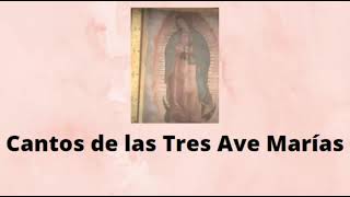 Las 3 Ave Marías cantadas c letra p milagros UGENTES e IMPOSIBLES Por Dicasterio de la Felicidad [upl. by Ococ]