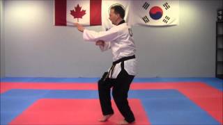 Poomsae 7  Taegeuk Chil Jang [upl. by Magdau]