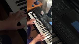 Blod Besvimelse  Misantrop  synthesizer cover by Croissant  LIVE MUSIC 🎹🎧 [upl. by Lledra]