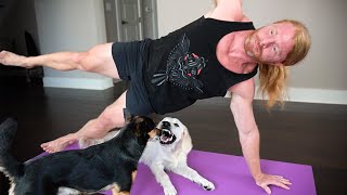 What It’s Like Doing Yoga With Your Dogs [upl. by Wiltz]