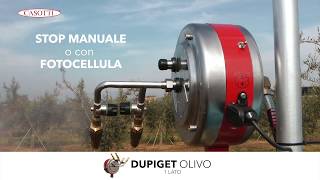 CASOTTI  Dupiget Olivo Aquilotto e Stopper [upl. by Anelhtac459]