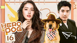 Eng Dub Hero Dog EP16 Hayden Kuo Jin Shijia 💘Man and dog learn to become inseparable friends [upl. by Ekusoyr]