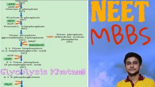 Glycolysis explained🔥🔥Khel Khatam 💪 [upl. by Blanc863]