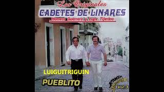 Los Cadetes De Linares mix de puras buenas Vol 2 Lupe Y Homero [upl. by Horwitz791]