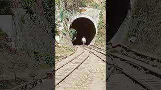 Vande BHARAT Train Himalayan shortvideo shorts short youtubeshorts youtuber train video [upl. by Westphal]