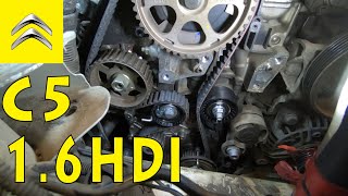 How to change the timing belt kit and the coolant pump on a Citroen C5 II  16 HDI [upl. by Almap]