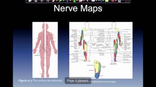 Chapter 12 Disorders of the peripheral nervous system [upl. by Lindell]