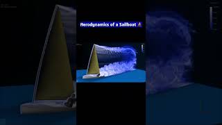 sailboat aerodynamics 🌬️ sailing scienceexplained 🌊 [upl. by Adnovaj600]