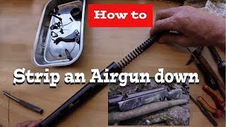 How to service a Spring Air rifle The Westlake B2 [upl. by Aruam]