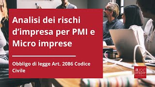 Analisi dei rischi dimpresa Art 2086 Codice Civile [upl. by Lishe]