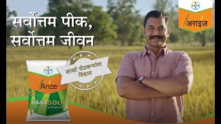 Arize 6444 Gold The Best Rice Paddy Seeds for High Yields amp Pest Resistance Marathi  Bayer [upl. by Weywadt706]