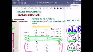 NOMENCLATURA DE SALES [upl. by Fatsug46]