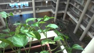 Full Hotel Tour Embassy Suites Syracuse NY [upl. by Anelad3]