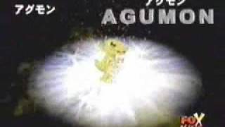 Agumon digivolve to Greymon [upl. by Mattson]