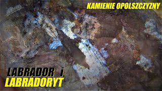 LABRADOR I LABRADORYT Kamienie Opolszczyzny 2022 [upl. by Cutcliffe]