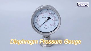 12 npt bsp low pressure diaphragm pressure gauge stainless steel [upl. by Attennaj]