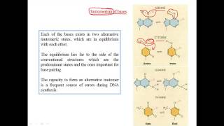 Tautomerization of bases [upl. by Antonella636]