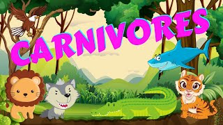 Carnivores  Types of Animals  Science for Kids [upl. by Trakas]