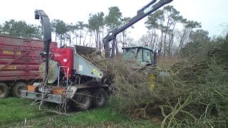 UD CUMA MORBIHAN  Déchiquetage de bois [upl. by Andrews]