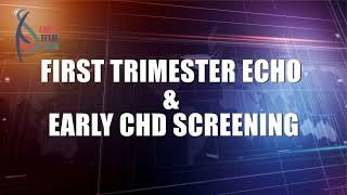 FIRST TRIMESTER ECHO amp EARLY CHD SCREENING 2023 [upl. by Odlanor]