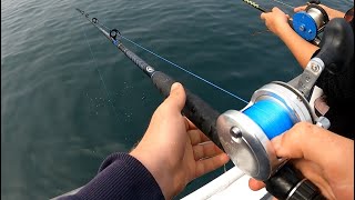 Captree Princess Wreck Fishing Excellent Fishing with EastCoastFishing [upl. by Eesdnyl]