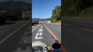 🌞 beautiful day japan chill driving shorts [upl. by Currey576]