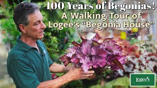 100 Years of Begonias A Tour of Logees Famous quotBegonia Housequot [upl. by Llenrev]