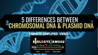 5 Differences between Chromosomal DNA and Plasmid DNA [upl. by Neomah]