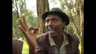 Eritrean comedy suzinino tafla and behabelom Trgum [upl. by Modesty]