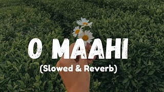 O Maahi  Slowed amp Reverb  Shah Rukh Khan  Arijit Singh [upl. by Huai844]