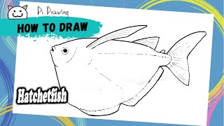 How to Draw Hatchetfish [upl. by Gladi]