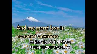 Secret loveDoris DayCovered by 김미정가사번역 [upl. by Nnylirej]