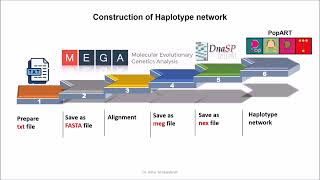 How to construct Haplotype Network by PopArt SARSCoV2 as an example [upl. by Adnorhs45]