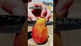 fruit naturallifeb satisfying naturalclips fruitcutting naturelife guava food plants [upl. by Ahsertal]