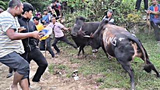 BRIANG RONI 🆚 PRING MAHEHMOT NA SWER HA DYMPEP [upl. by Brace281]