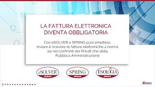 La fattura elettronica con i gestionali Sistemi [upl. by Razec49]