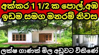 අක්කර 15 ක ඉඩම හා නිවස ඉක්මණින් විකිණේ  Pol idam  Coconut land  Land for sale  House for sale [upl. by Daniele]