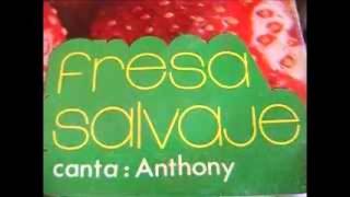 Todo se derrumbo  Canta Anthony  Grupo Fresa Salvaje [upl. by Arlynne]