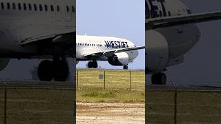 WestJet B737 taxiing in Honolulu Int’l Airport airplane aviation westjet 2024shorts [upl. by Dymphia759]