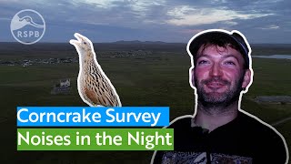 Experience a midsummer night in Lewis listening for endangered Corncrakes [upl. by Gallagher]