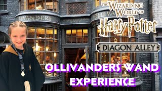 Ollivanders Wand Experience At The Wizarding World Of Harry Potter  Universal Studios [upl. by Ennaear]