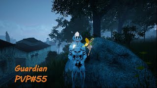 Black Desert online Страж Осады Guardian PVP nod war [upl. by Rozek]